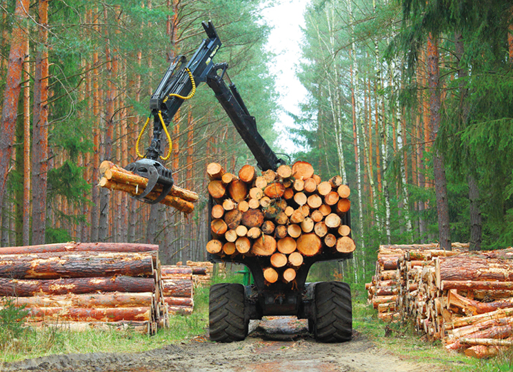 Logging truck loading logs