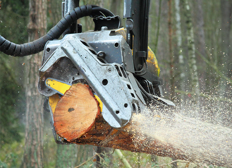 Bild eines Harvester Greifarms im Einsatz