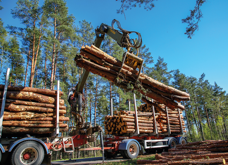 Bild eines Rückewagens beim Holz verladen